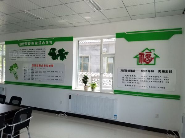 插图三 图为基层党组织党建文化示范点.jpg